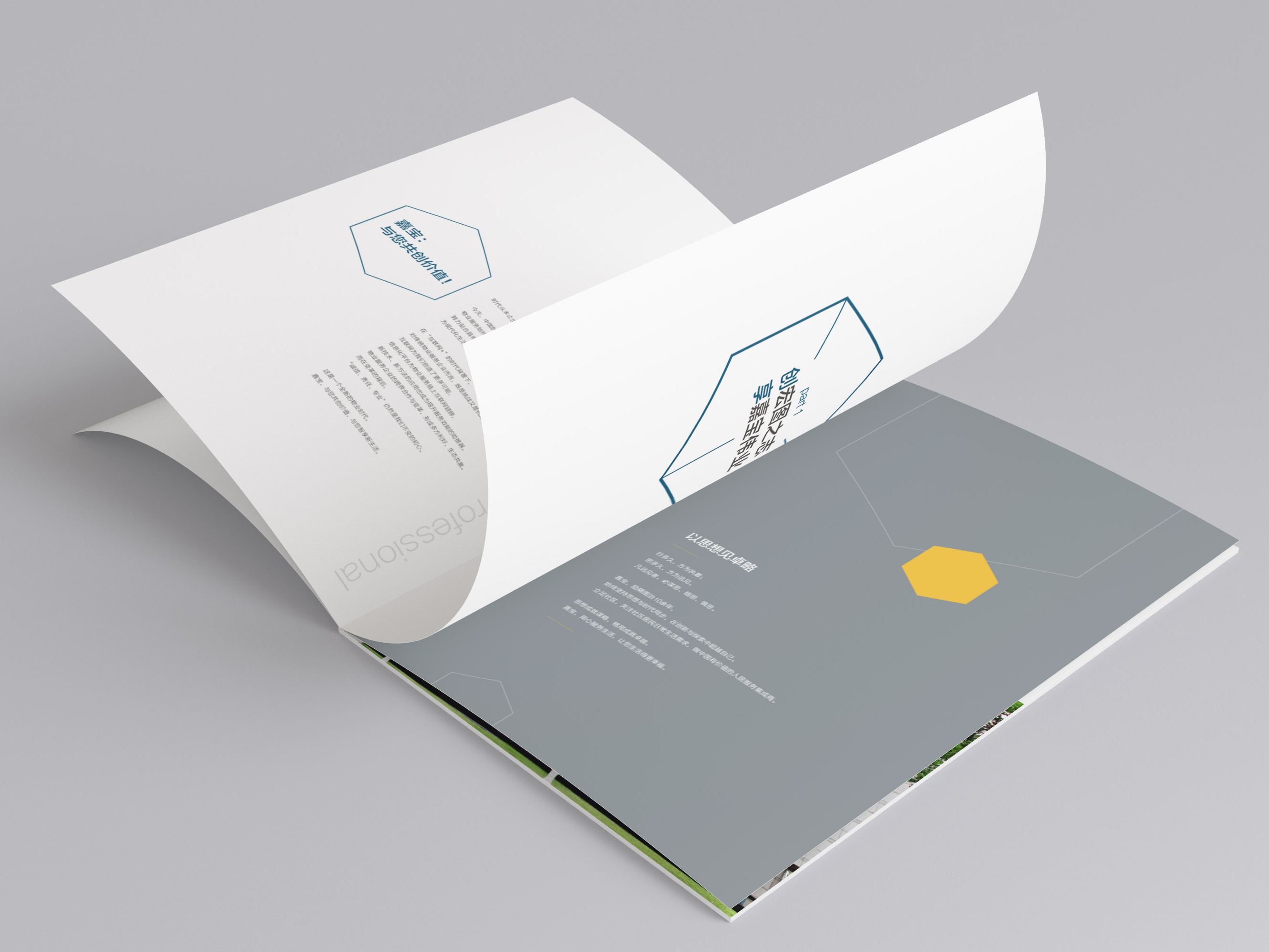 公開收藏夾 畫冊與進出口代理在站酷的創意交融