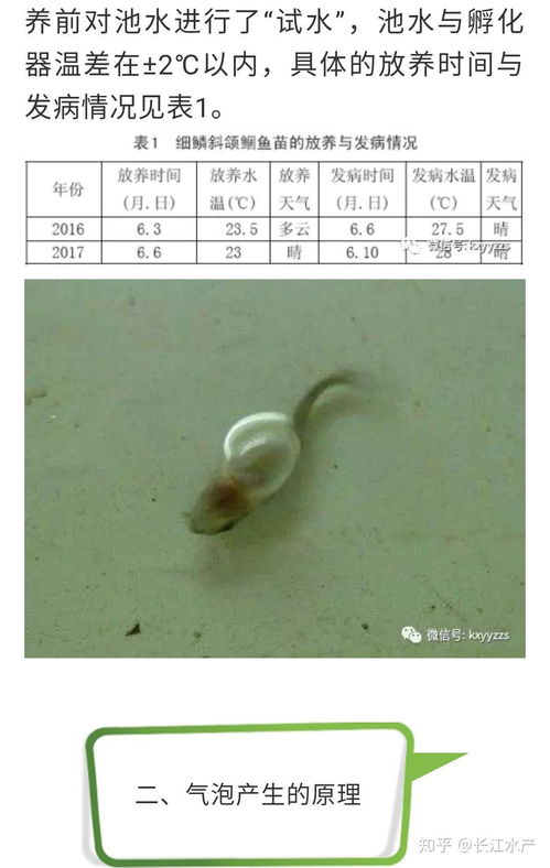現(xiàn)代養(yǎng)殖業(yè)的雙輪驅(qū)動(dòng) 工廠(chǎng)化循環(huán)水水產(chǎn)養(yǎng)殖與畜牧業(yè)養(yǎng)殖的協(xié)同發(fā)展